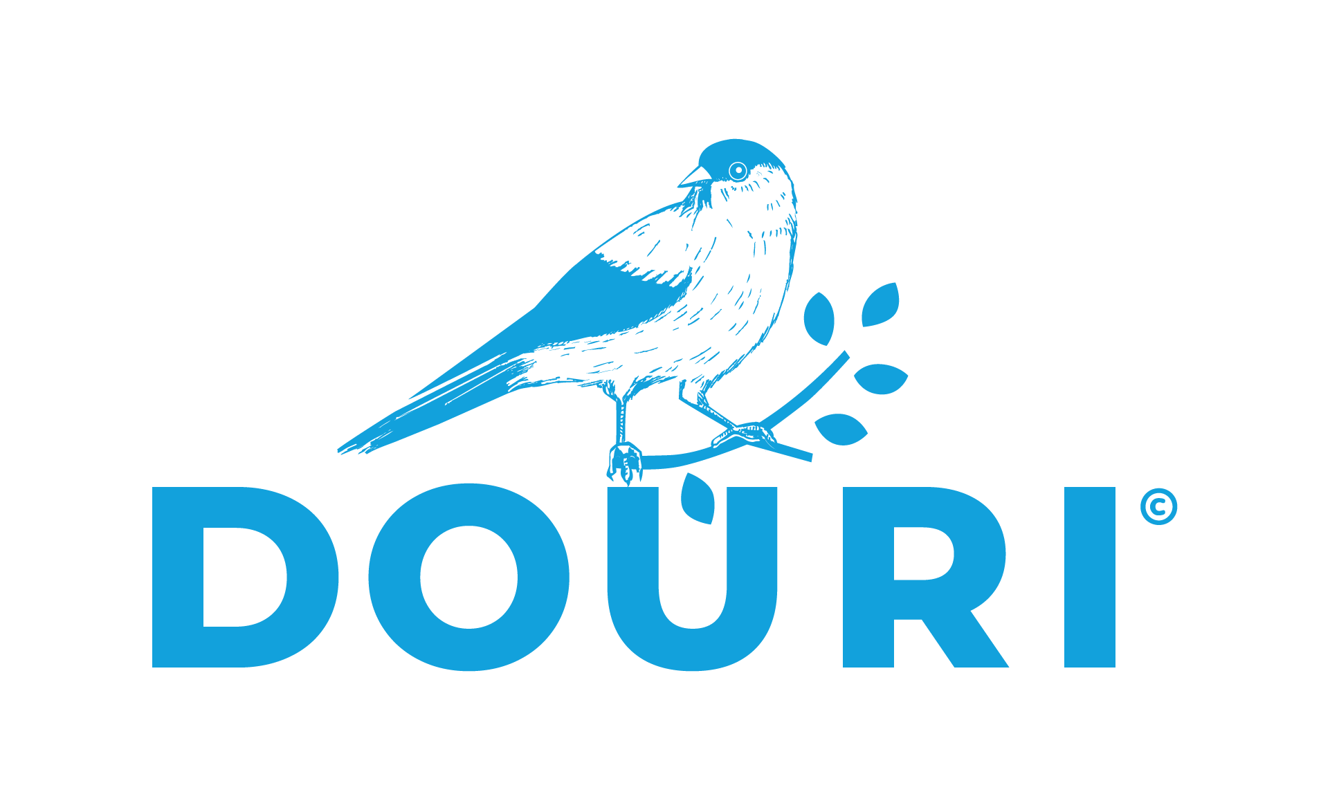 Douri